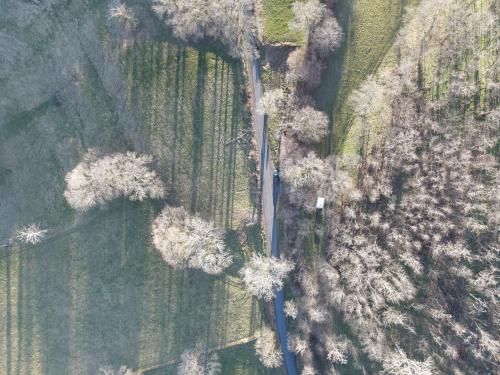 DJI_4779.JPG
